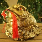 <b>店铺中的金蟾应该如何摆放?</b>