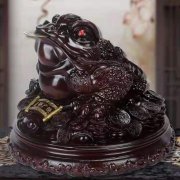 金蟾是面对屋内摆放吗?