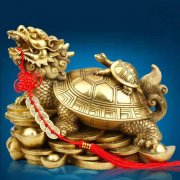 龙龟常见的材质有哪些,分别有什么风水作用?