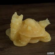 龙龟的摆放方法及风水作用(含图片)