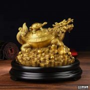 招财龙龟摆放有哪些风水讲究?