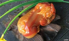 如何抚摸貔貅才招财?泰华轩灵宝怎么样？